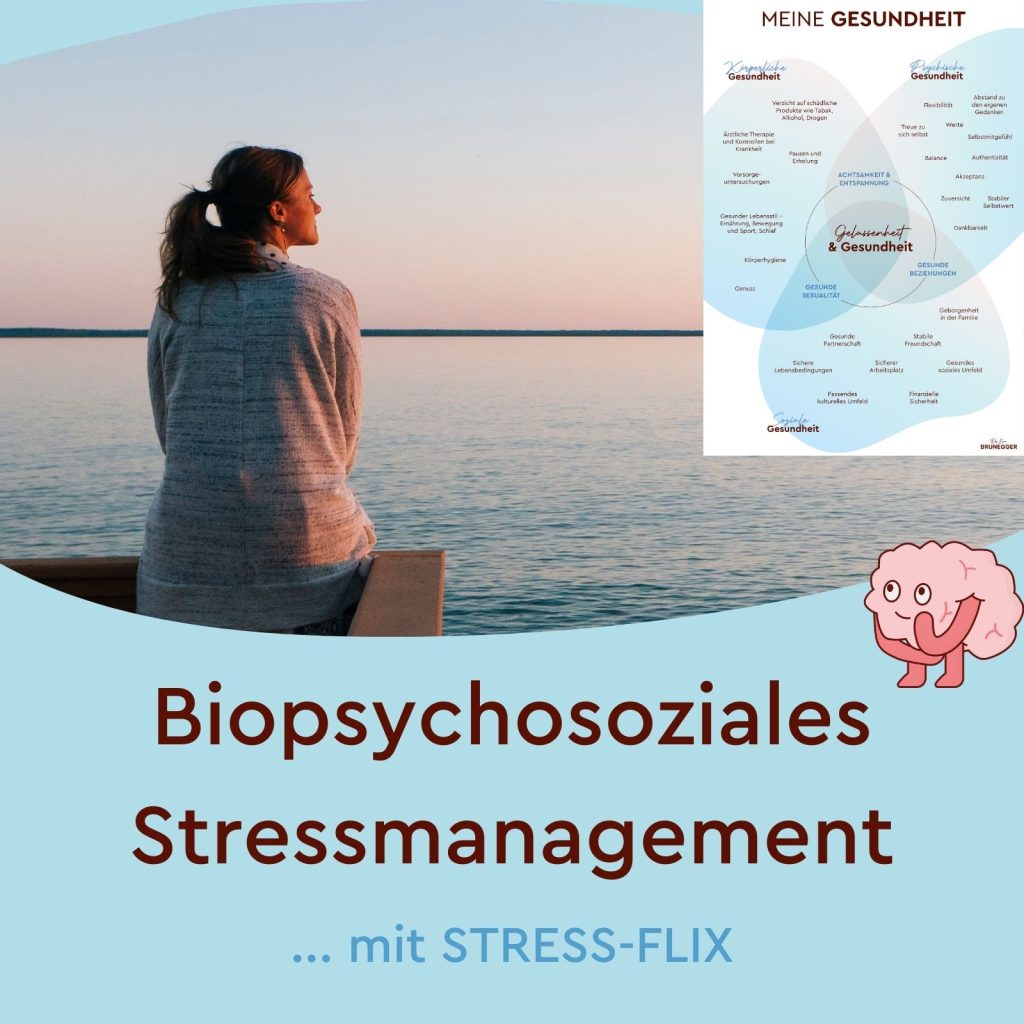 Stressflix - biopsychosoziales Stressmanagement